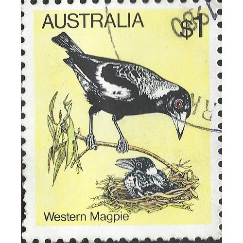 AUSTRALIA, BIRD, Western Magpie, yellow 1980, $1, #3