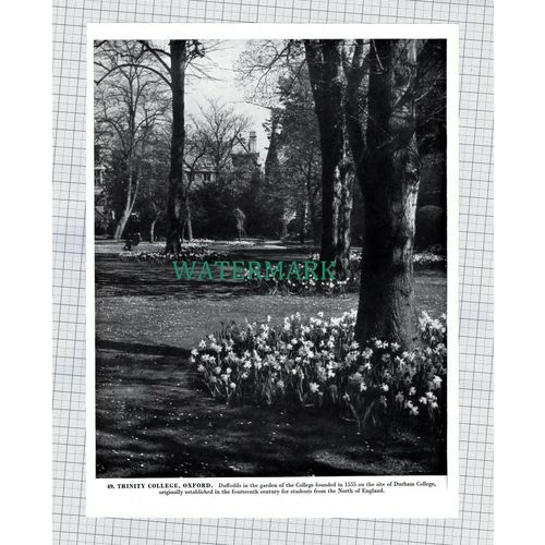 X1950) Royal Crescent Bath Somerset / Trinity College Oxford - 1960s Book Print