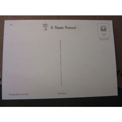 KYLES OF BUTE, SCOTLAND unused postcard by E T W Dennis =