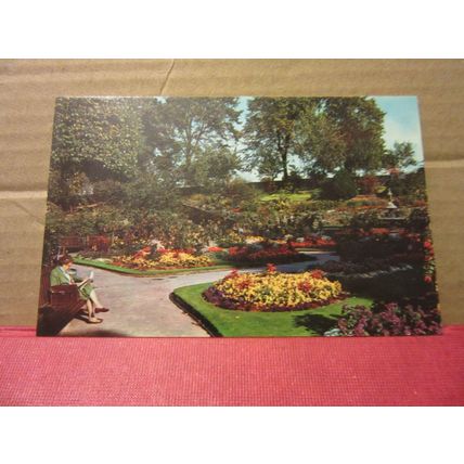 THE DINGLE, SHREWSBURY, SHROPSHIRE. unused postcard Colourmaster =