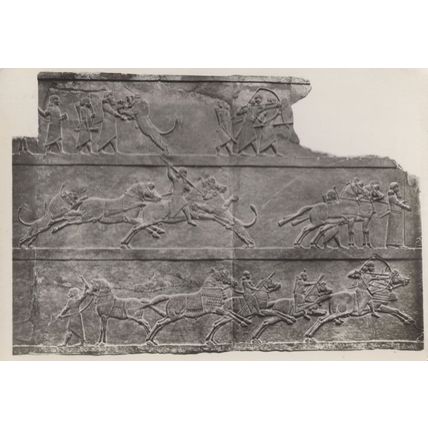 Ashur Bani Pal King of Assyrian British Museum RPC Postcard