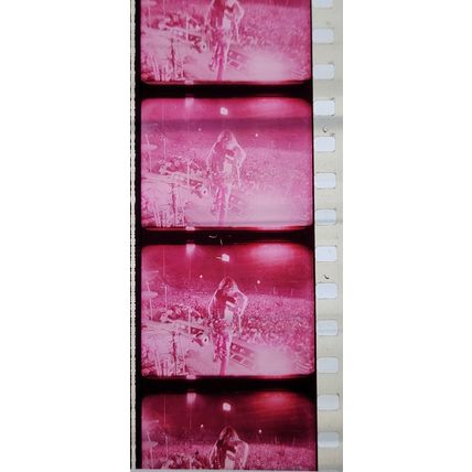ALICE COOPER. Pk MTP - c075W . 1 STRIP OF 5 - 35MM FILM CELLS.