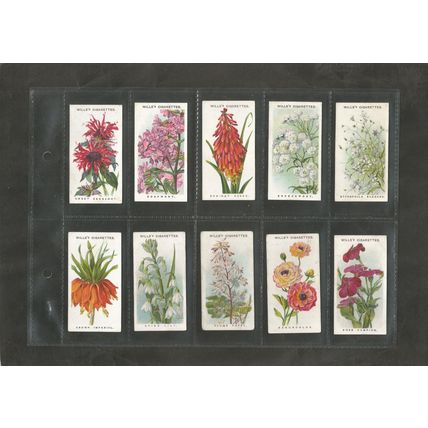 Flowers A full set of Wills Cigarette Cards Old English Garden Flowers 2nd 1915