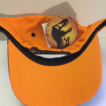 NEW Jurassic Park Designed for Danger Boy's Youth Adjustable Cap