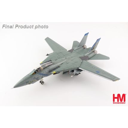 GRUMMAN F-14B TOMCAT OEF 163220 VF-143 "PUKIN DOGS" - HOBBY MASTER HA5243 1/72