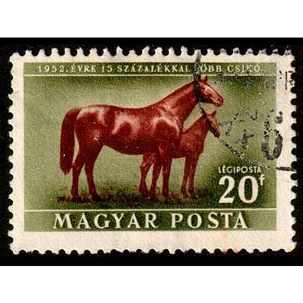 Hungary 1951 Animals Horses 20f Used Stamp