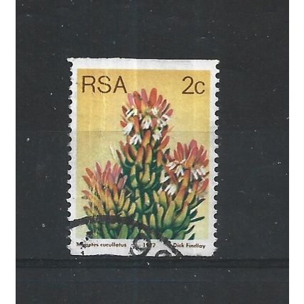 SouthAfrica.SG432 2c Mimetes Cucullatus.Fine Used.Sep25m