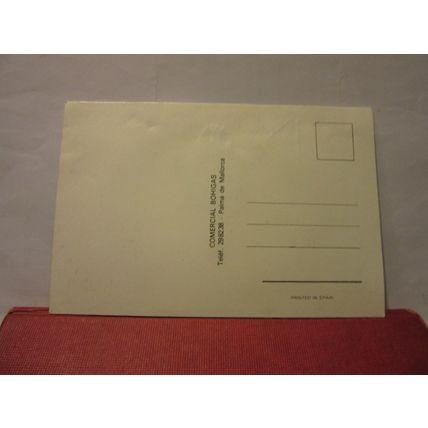 SPANISH DANCERS in a silk dress? , SPAIN unused postcard with envelope (c) #