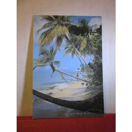 CORAL SANDS, PIGEON POINT, TOBAGO unused postcard Trinidad & Tobago =