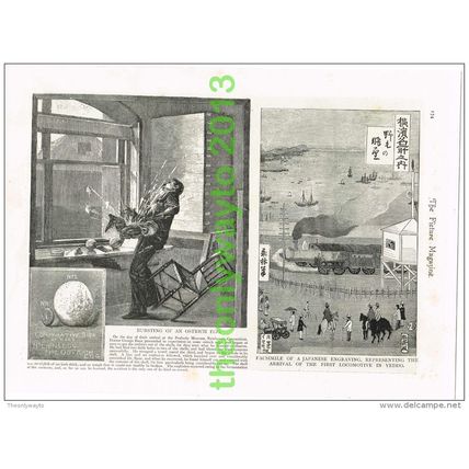 BURSTING AN OSTRICH EGG & FIRST LOCOMOTIVE IN YEDDO, JAPAN, Illustration, c1895