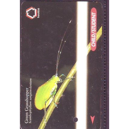 Scambophyllum Sanguinolentum Green Grasshopper S'pore TransitLink Train/Bus Card