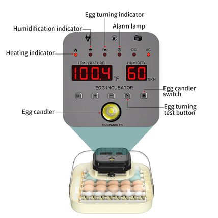 35 Egg Incubator with Automatic Egg Turning and Humidity Control, Incubator for