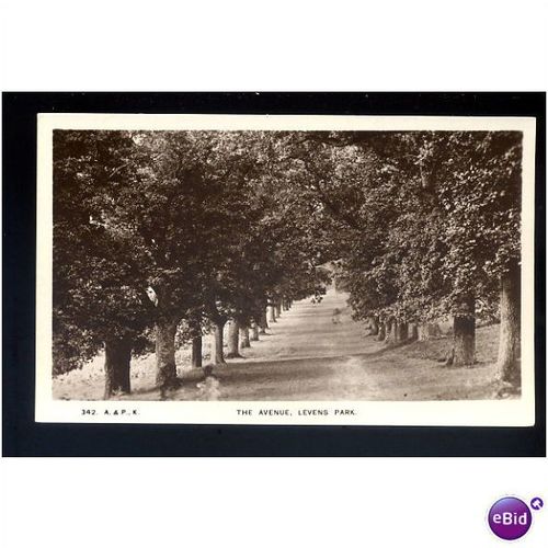 Westmorland LEVENS PARK Avenue Postcard by A.& P. (342)