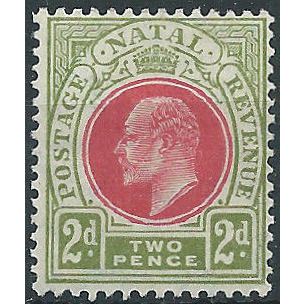 Natal 1904 SG149 2d Red & Olive-Green Mounted Mint .. ..