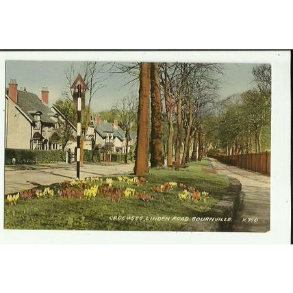 Warwickshire BOURNEVILLE Linden Road Postcard (Valentine K.750)