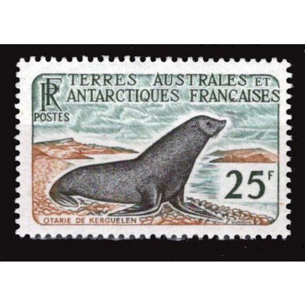 FSAT TAAF 18 MH Weddell seal at Kerguelen ZAYIX FSA-S0022