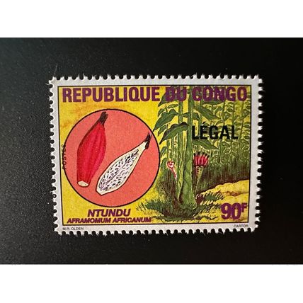 Congo 1998 Mi. 1555 surchargé LEGAL Fruits Früchte Ntundu Aframomum Africanum