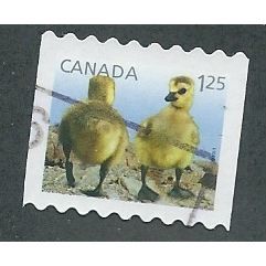 CAN 2011 $1.25 (S/A) 'BABY WILDLIFE' FINE USED (EBID38-291)