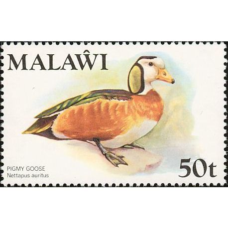 Malawi QEII 1975 Birds 50t African Pigmy Goose Mounted Mint MM SG482 Sc242 stamp