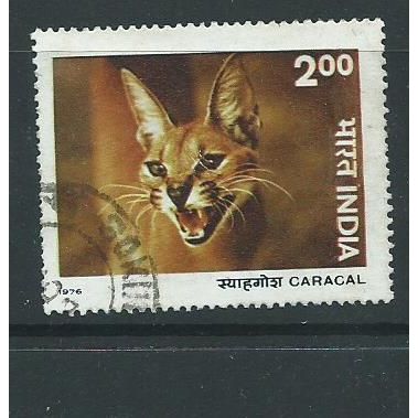 india stamps sg825 sg 825 used carcal wild animals