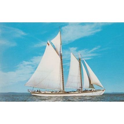 Schooner Adventure Gloucester US Tall Ship Weekly Cruises To Maine 60s Postcard