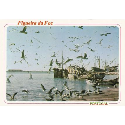 Figueira da Foz Portugal Postcard unused VGC