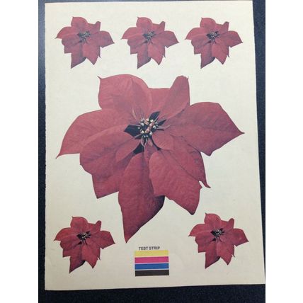 Heat Transfer Iron on Decal set of 6 poinsettias Woman's Day Magazine Dec. 1977
