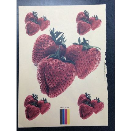 Heat Transfer Iron on Decal set of 5 stawberries Woman's Day Magazine July 1977