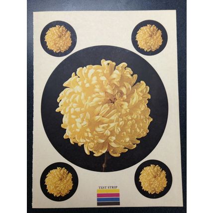 Heat Transfer Iron on Decal set of 5 flowers Woman's Day Magazine Oct. 1977