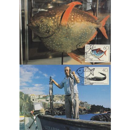 PORTUGAL [Madeira] MiNr 0098-99 ( Maxi ) Fische