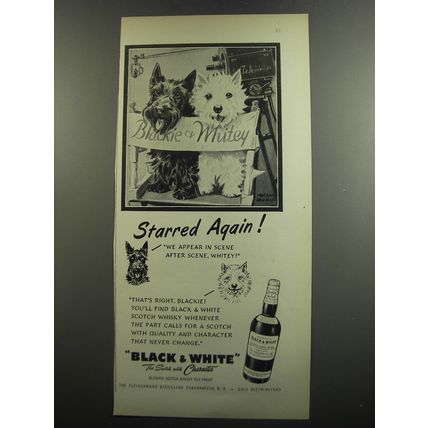 1952 Black & White Scotch Ad - Starred again!