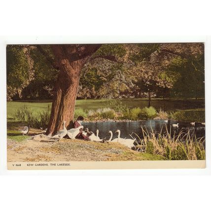 The Lakeside Kew Gardens Postcard 4668