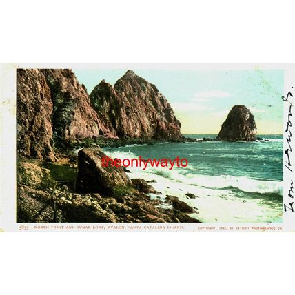North Point & Sugar Loaf, Avalon, Catalina Island, USA, Postcard, 1905