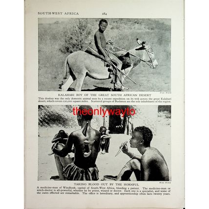 Bushmen & A Kraal (Kalahari Boy & Taking Blood On Reverse), Book Illustration