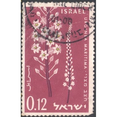 Israel 1960 - SG188 12pr - "Pancratium Maratimum"