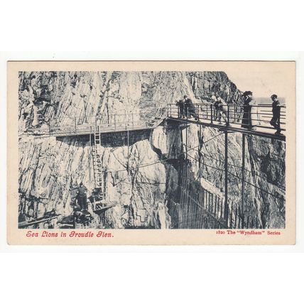 Sea Lions in Groudle Glen Isle of Man Postcard The Wyndham Series 1820