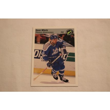 Sean Whyte 1993 Classic Pro Hockey Prospects NO. 101