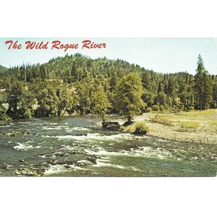 The Wild Rogue River - Trail - Oregon - USA - 1984 Real Photo Postcard (EPH)