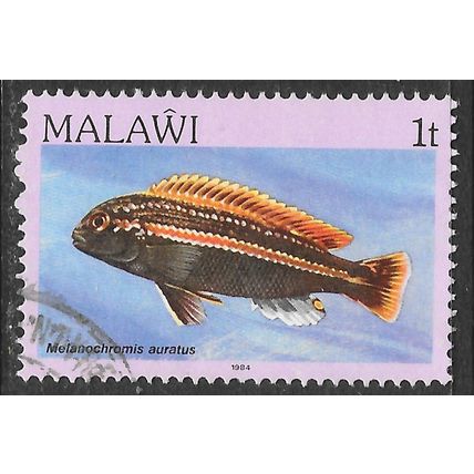 MALAWI 1984 FISH GOLDEN MBUNA 1t USED