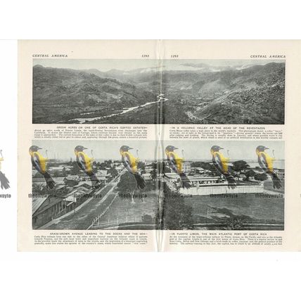 Coffee Estates & Port Limon, Costa Rica, Book Illustration c1920