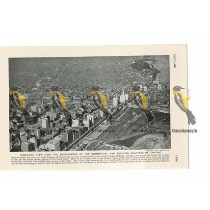 Birds Eye View, Chicago, USA, Book Illustration c1920