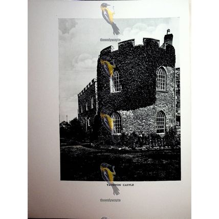 Winchester Castle, Interior & Taunton Castle, Book Illustration (Print), 1926