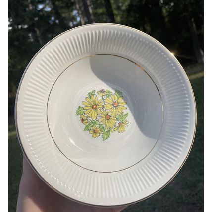 VTG MCM- 6 Coupe Cereal Bowls & 1 Serving Bowl- Staffordshire England Summertime