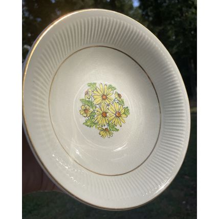 VTG MCM- 6 Coupe Cereal Bowls & 1 Serving Bowl- Staffordshire England Summertime