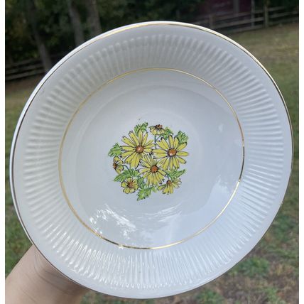 VTG MCM- 6 Coupe Cereal Bowls & 1 Serving Bowl- Staffordshire England Summertime
