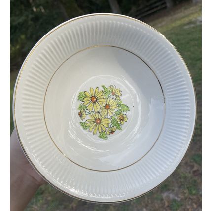 VTG MCM- 6 Coupe Cereal Bowls & 1 Serving Bowl- Staffordshire England Summertime