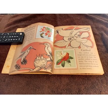Little Golden Book Bird Stamps By Kathleen Daly B Edition VG/FN Shape 1949