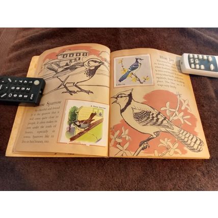 Little Golden Book Bird Stamps By Kathleen Daly B Edition VG/FN Shape 1949