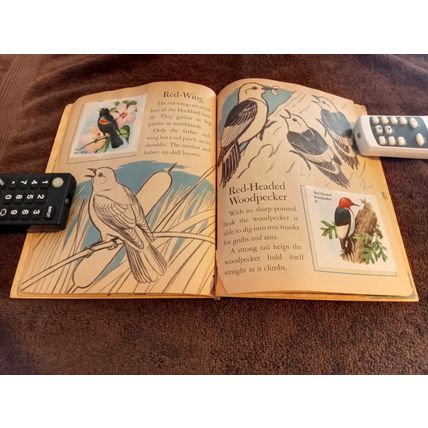Little Golden Book Bird Stamps By Kathleen Daly B Edition VG/FN Shape 1949