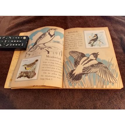 Little Golden Book Bird Stamps By Kathleen Daly B Edition VG/FN Shape 1949
